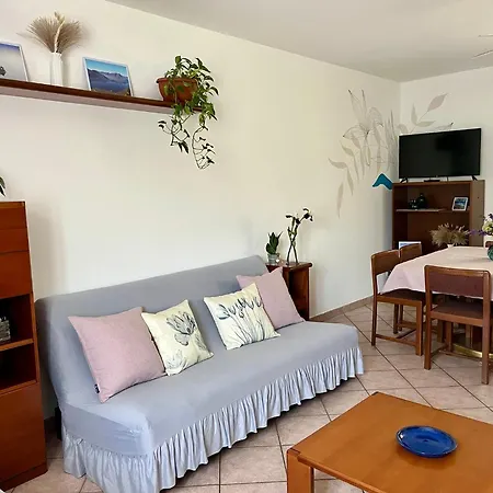 Casa Palida * ليرنا